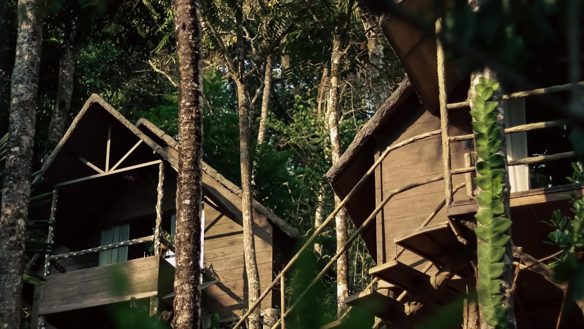Panchavadi Farm Stay Thekkady